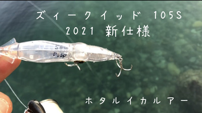 ズィークイッド　105 sss ホタルイカパターン ズィークイッド105は大きい？ : フラッター日誌