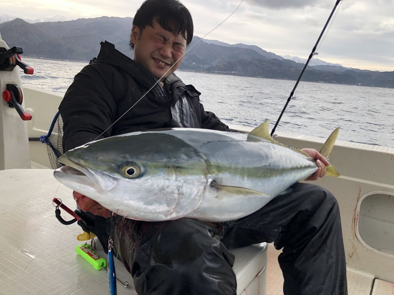 富山寒ブリ13kg フクラギ も好調 11 29 フラッター日誌