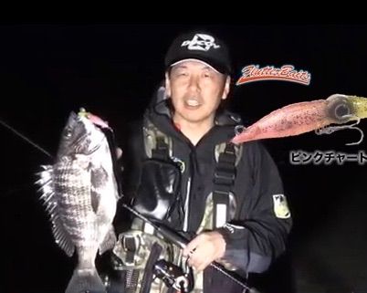 ズィークイッド】カラー、仕様、サイズ選択について