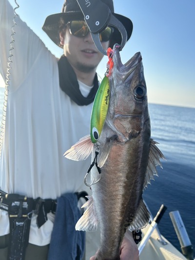 ゴッツォジグでコアラ