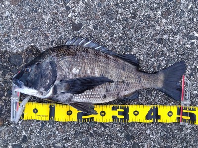 IMG_2026-03-11-06-15-20-819