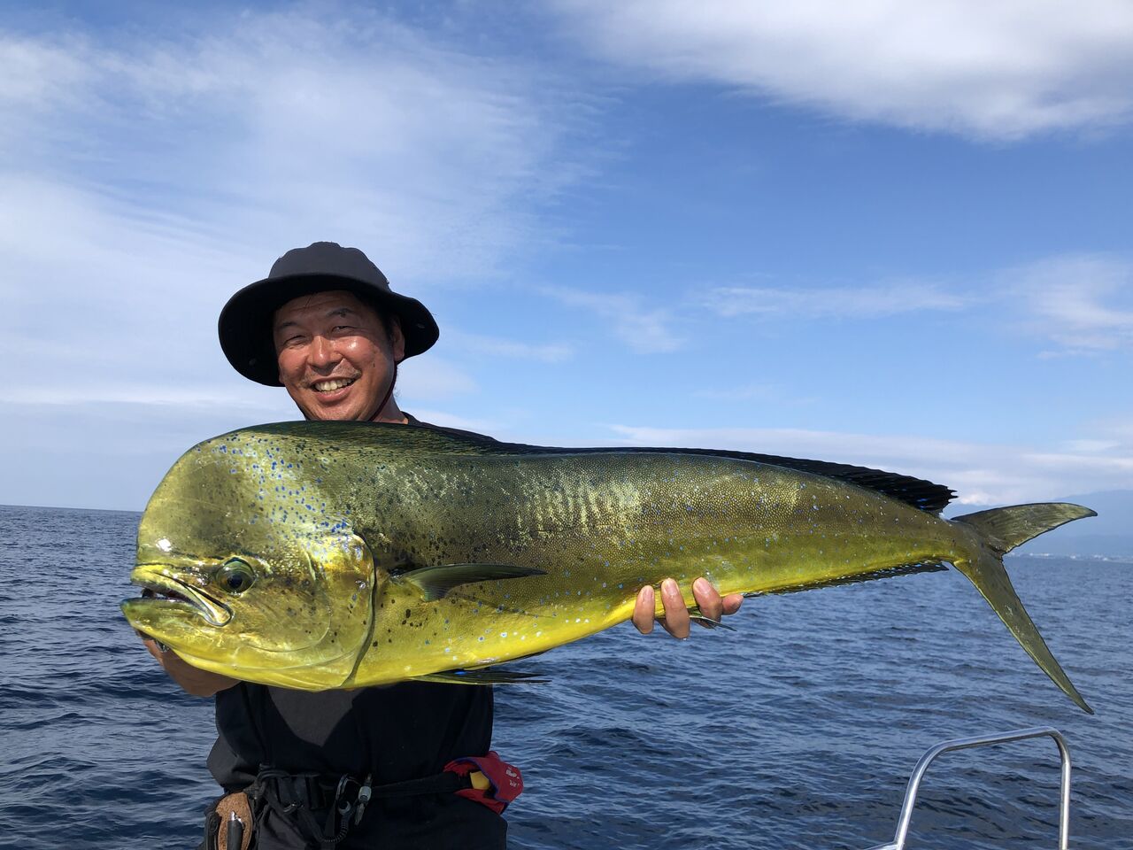 富山湾シイラ来てま す メーターオーバー連発 フラッター日誌
