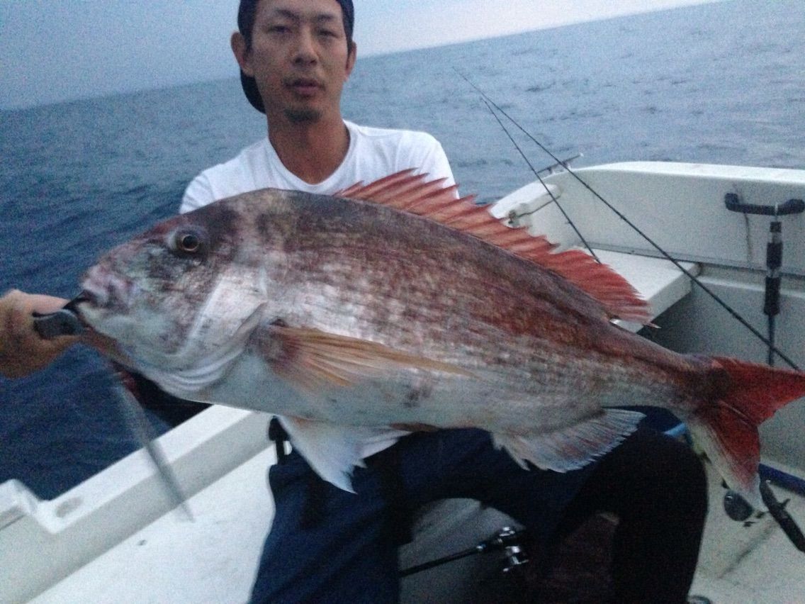 7 17 18連休は赤い鯛 黒い鯛 フラッター日誌