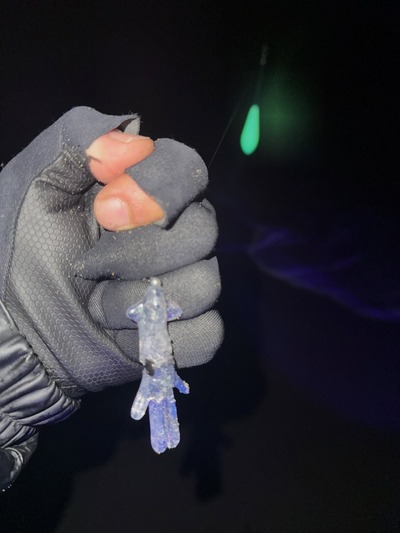 4月8日　ホタルイカ爆湧きの中