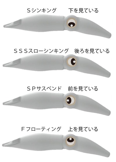 ズィークイッドの目玉の謎？