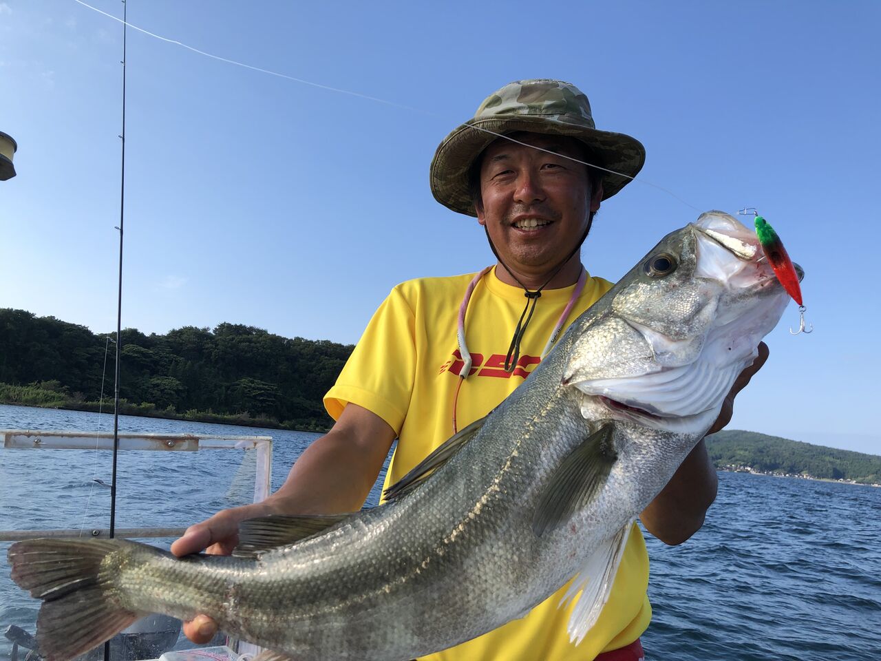 2021 ストラトン75 カラーチャート！ : フラッター日誌