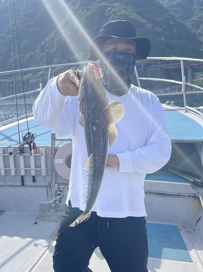 美味しい魚の季節！？　マゴチシャッドで