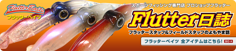 マゴチシャッド入荷です