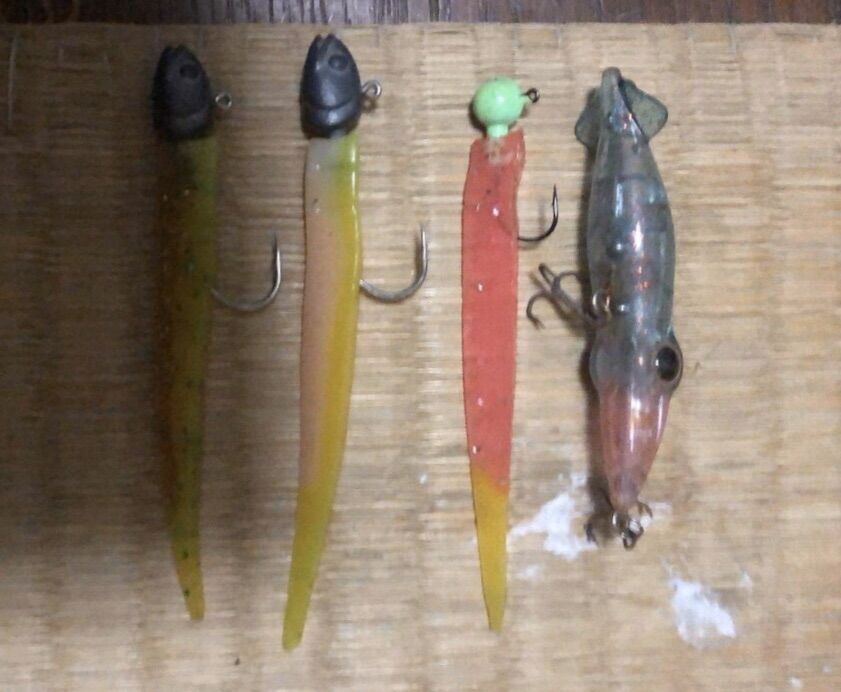 富山県内河川のランカーシーバス フラッター日誌