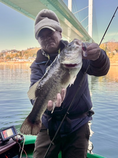 速報！　相模湖　52.5ｃｍ出ました！！　クラバー50