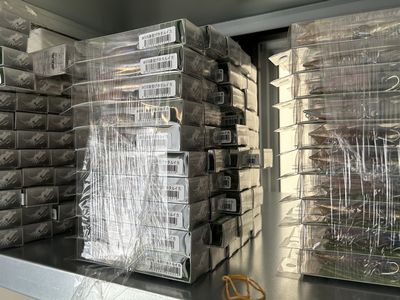 ズィークイッドの季節です。