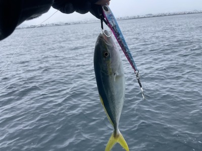 無限ツバイソ&フクラギモード！！