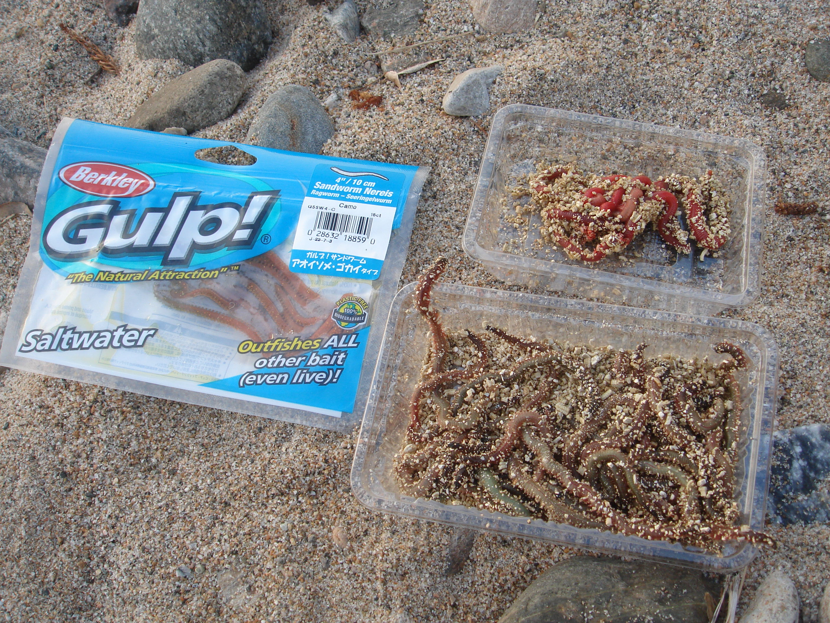 メバルロッド恐るべし フラッター日誌