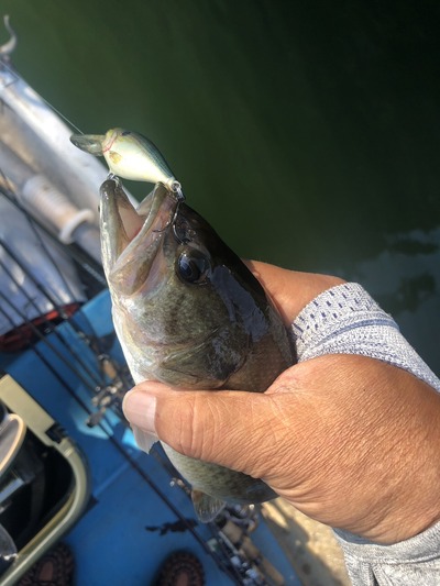 津久井湖のバス　現況です。
