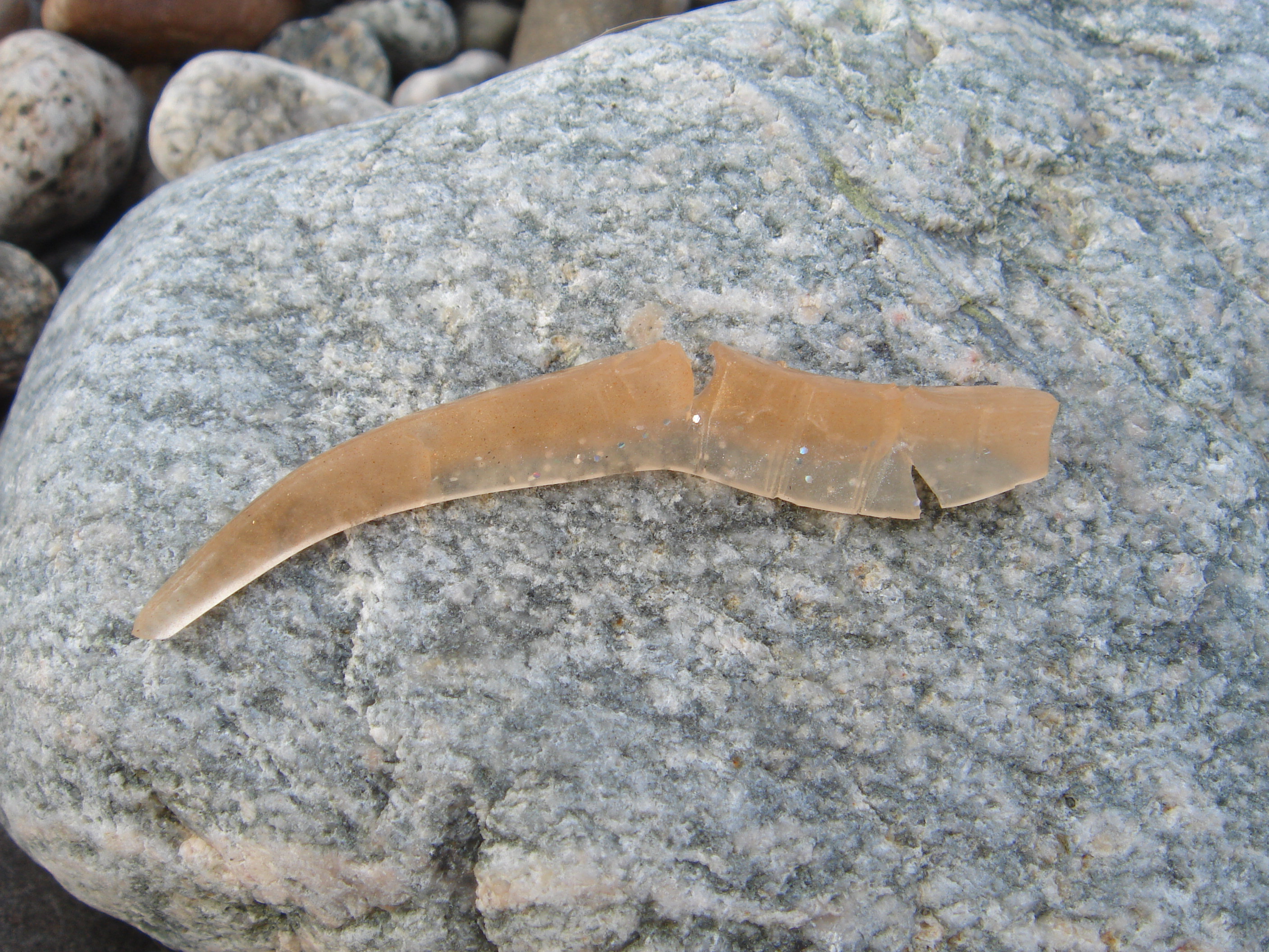 フラットフィッシュ好調 フラッター日誌