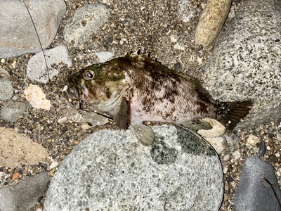 夏の夜に・・・・ズィークイッド