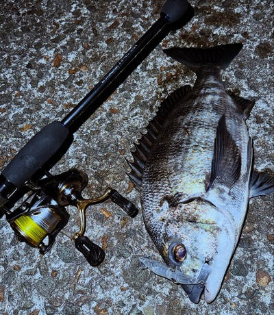 SnapInsta.to_641229444_18035758076769300_9057755988565743258_n