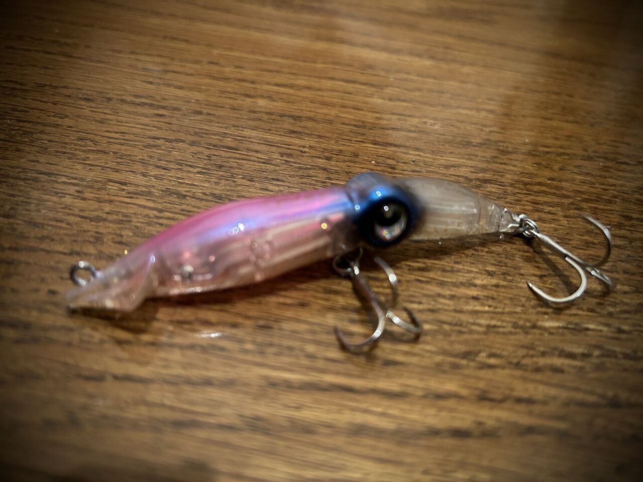 2024 ズィークイッド全色単体写真！ : フラッター日誌