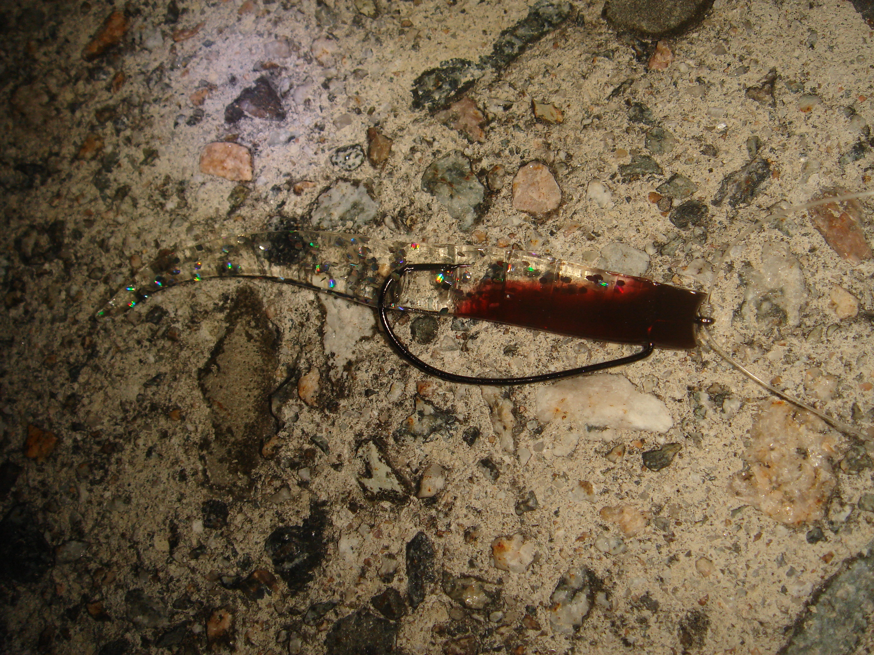 クィーンでダウンショット フラッター日誌