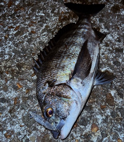 SnapInsta.to_640130010_18035758085769300_1751676307384883271_n