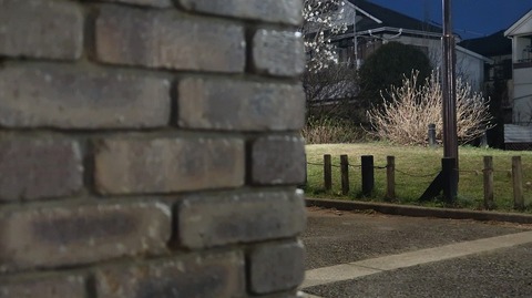 20190321184341_IMG_1210