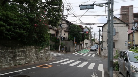 20200531154648_IMG_6382