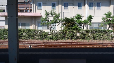 20230814152316_IMG_9098