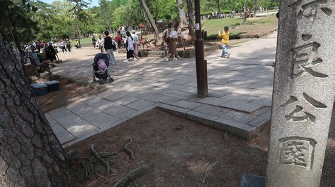 20240502125452_IMG_1009
