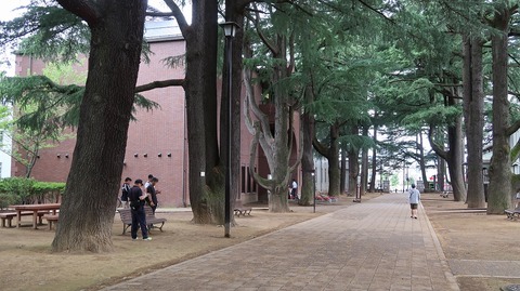 20190714142542_IMG_2918