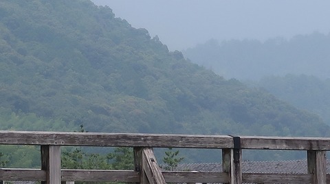 20200808112546_IMG_7109