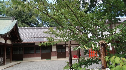 20220813095903_IMG_5809