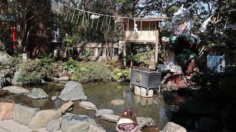 20190223114212_IMG_1001