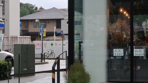 20221010124235_IMG_6542