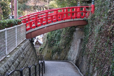 20190309143232_IMG_1169