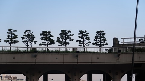 20200816175155_IMG_7504