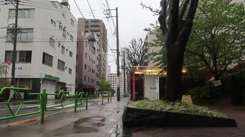 20230415165808_IMG_7953