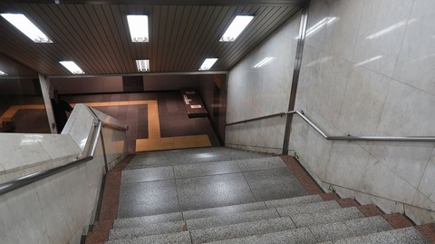 20231203133349_IMG_0746