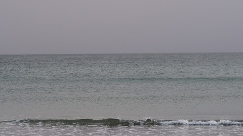 20190223162959_IMG_1097