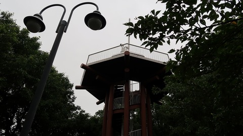 20190714173412_IMG_2968