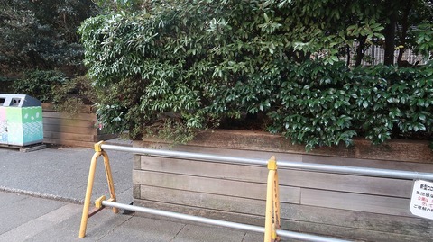 20210213121028_IMG_0417