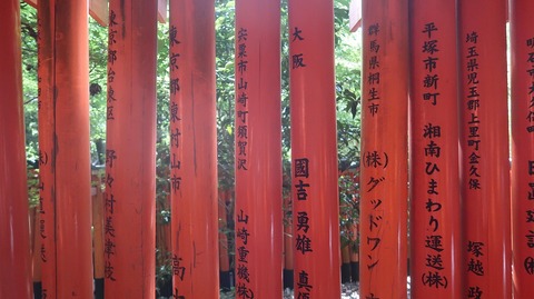 20240504135205_IMG_1174