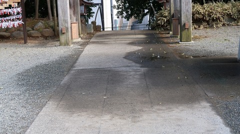 20190210135633_IMG_0915