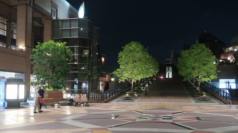 20200726203313_IMG_6890