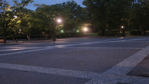 20200726192405_IMG_6856