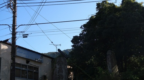 20201025141823_IMG_8713