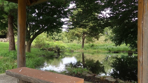 20200920112028_IMG_7944