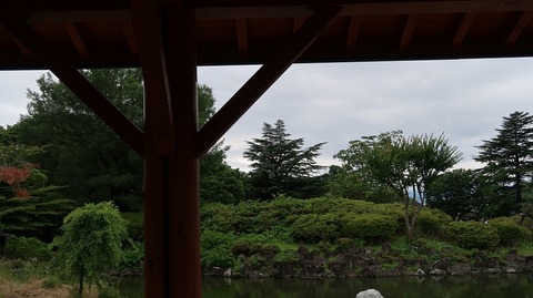 20190714140056_IMG_2905