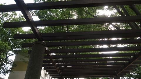20220723154836_IMG_5209