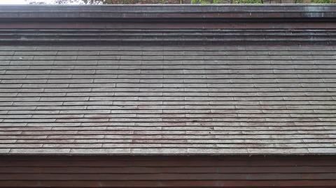 20221217131326_IMG_7452