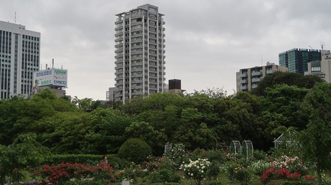 20220508180353_IMG_4217